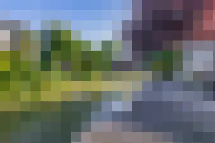 Sientje Mesdag-van Houtenstraat 107 Spijkenisse thumbnail 31