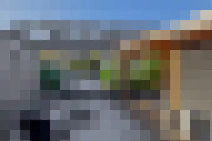 Sientje Mesdag-van Houtenstraat 107 Spijkenisse thumbnail 32