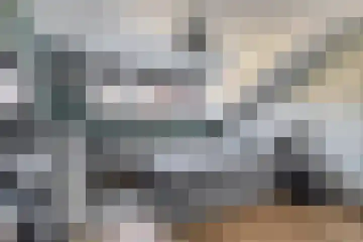 Sientje Mesdag-van Houtenstraat 107 Spijkenisse thumbnail 35