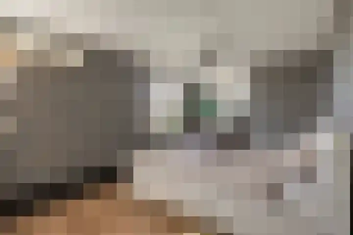Sientje Mesdag-van Houtenstraat 107 Spijkenisse thumbnail 39