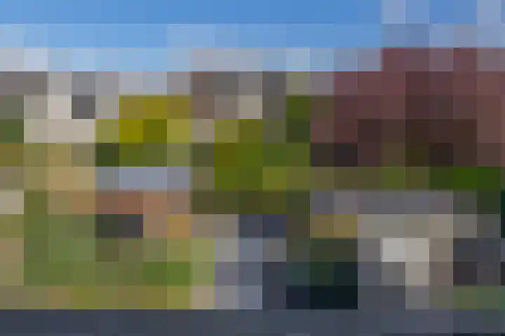Sientje Mesdag-van Houtenstraat 107 Spijkenisse thumbnail 47