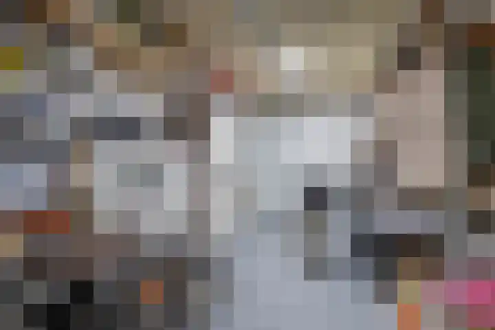 Sientje Mesdag-van Houtenstraat 107 Spijkenisse thumbnail 53