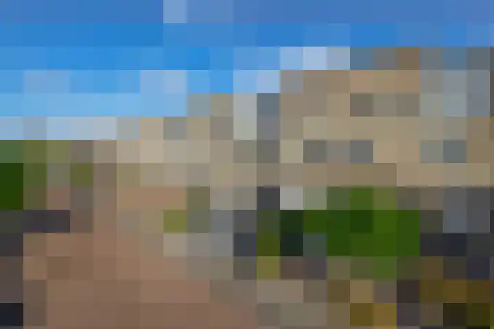 Sientje Mesdag-van Houtenstraat 107 Spijkenisse thumbnail 8