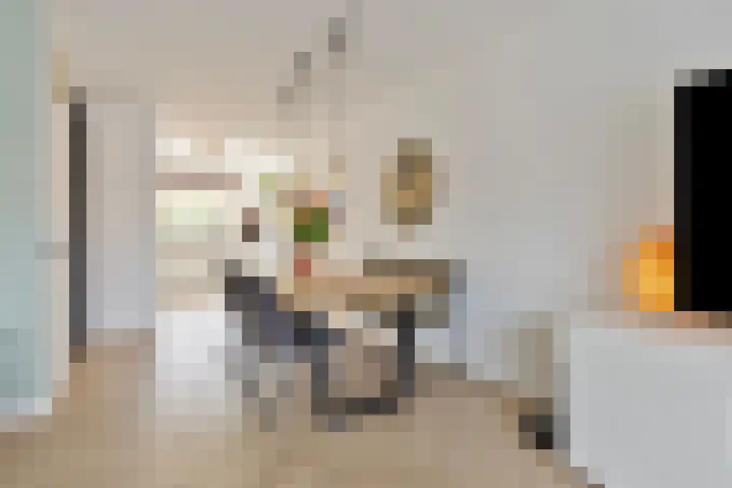 Sientje Mesdag-van Houtenstraat 151 Spijkenisse thumbnail 14