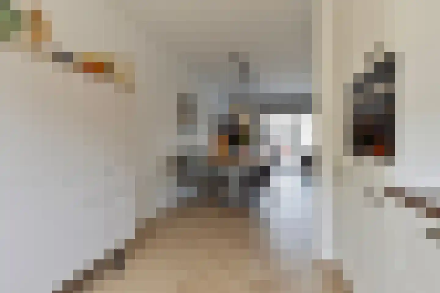 Sientje Mesdag-van Houtenstraat 151 Spijkenisse thumbnail 17