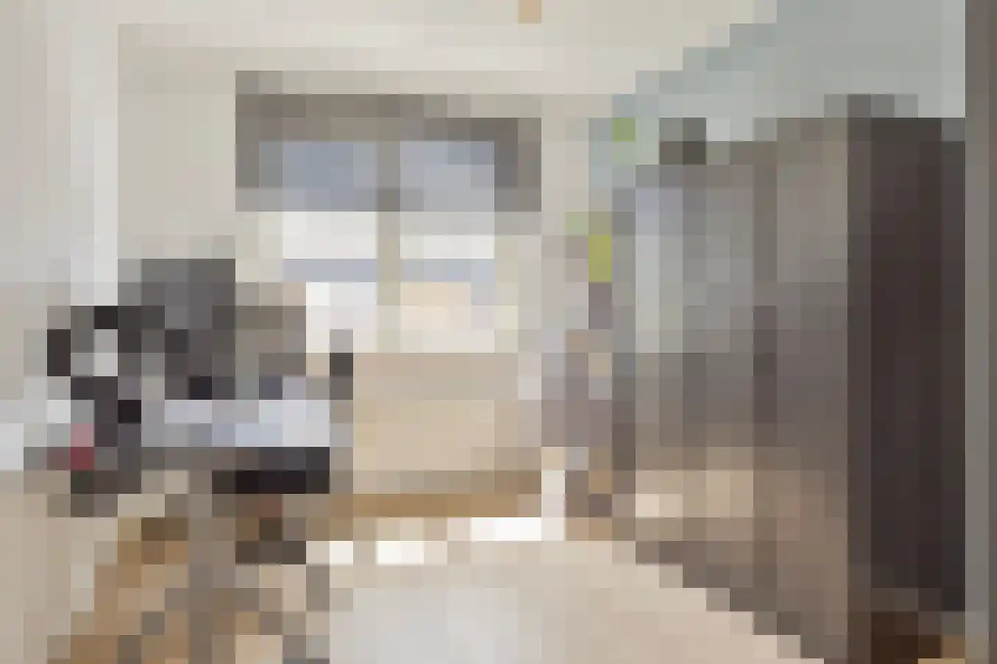 Sientje Mesdag-van Houtenstraat 151 Spijkenisse thumbnail 32