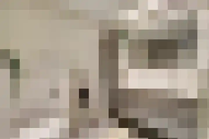 Sientje Mesdag-van Houtenstraat 49 Spijkenisse thumbnail 12