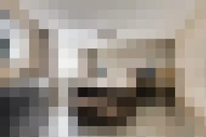 Sientje Mesdag-van Houtenstraat 49 Spijkenisse thumbnail 14