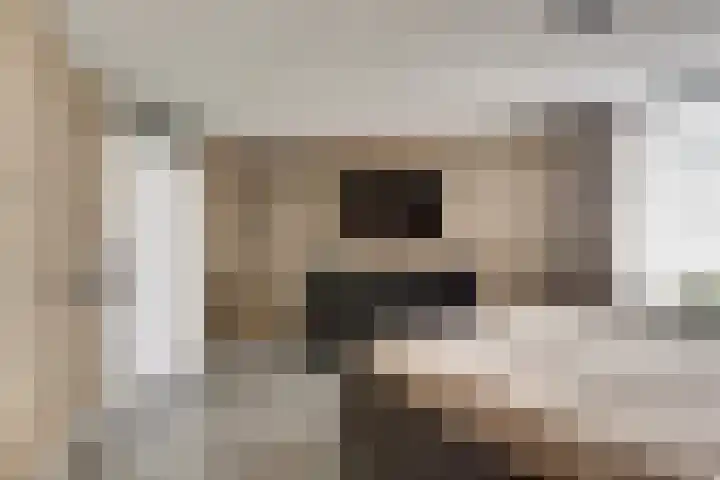 Sientje Mesdag-van Houtenstraat 49 Spijkenisse thumbnail 15