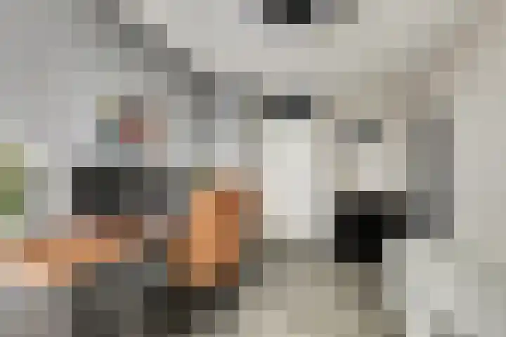 Sientje Mesdag-van Houtenstraat 49 Spijkenisse thumbnail 19