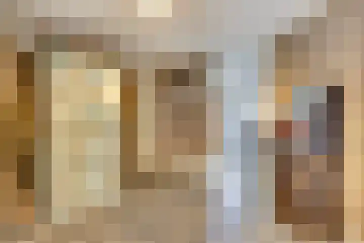 Sientje Mesdag-van Houtenstraat 49 Spijkenisse thumbnail 20