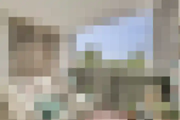 Sientje Mesdag-van Houtenstraat 49 Spijkenisse thumbnail 23