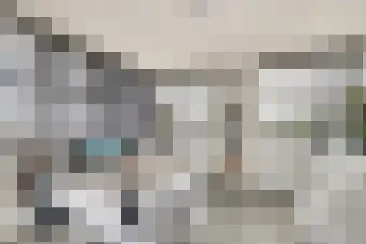 Sientje Mesdag-van Houtenstraat 49 Spijkenisse thumbnail 29