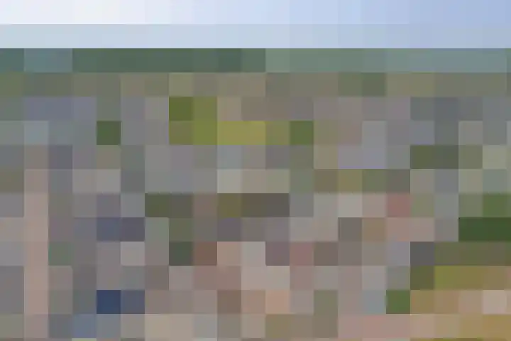 Sientje Mesdag-van Houtenstraat 49 Spijkenisse thumbnail 34