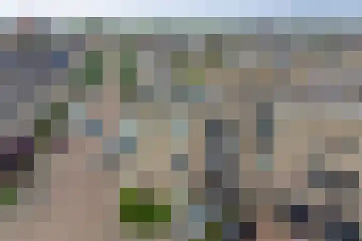 Sientje Mesdag-van Houtenstraat 49 Spijkenisse thumbnail 35