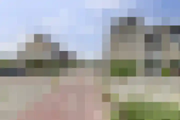 Sientje Mesdag-van Houtenstraat 49 Spijkenisse thumbnail 44