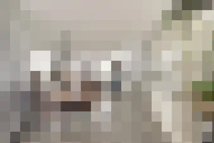 Sientje Mesdag-van Houtenstraat 49 Spijkenisse thumbnail 5