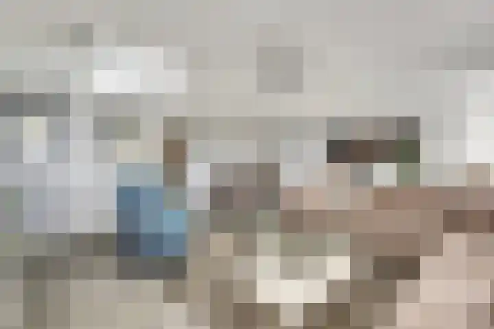 Sientje Mesdag-van Houtenstraat 49 Spijkenisse thumbnail 8