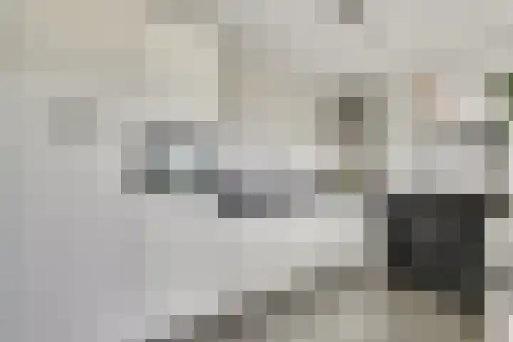 Sientje Mesdag-van Houtenstraat 49 Spijkenisse thumbnail 9