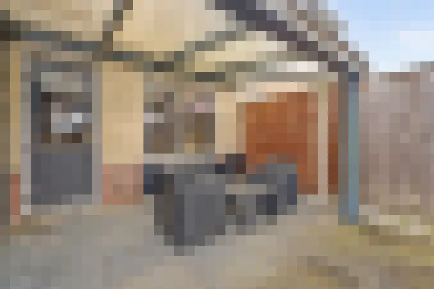 Sientje Mesdag-van Houtenstraat 5 Spijkenisse thumbnail 19