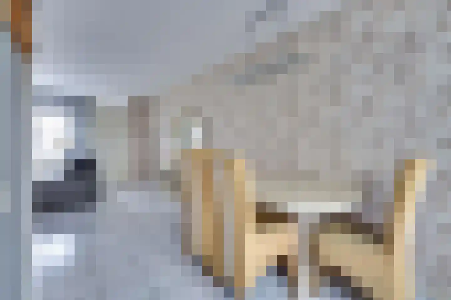 Sientje Mesdag-van Houtenstraat 5 Spijkenisse thumbnail 6