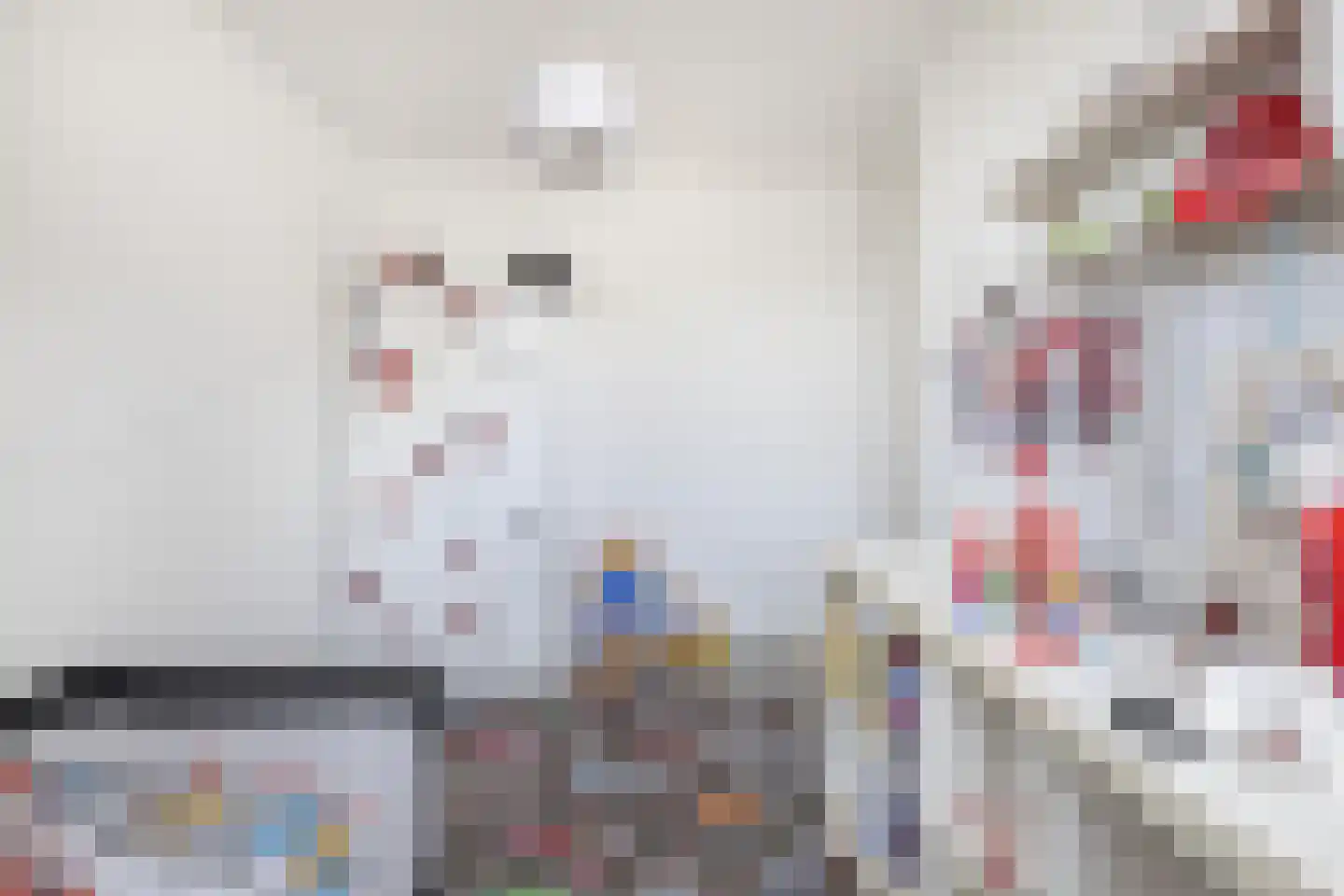 Sientje Mesdag-van Houtenstraat 52 Spijkenisse thumbnail 31