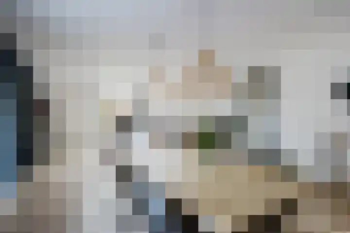 Sientje Mesdag-van Houtenstraat 65 Spijkenisse thumbnail 12