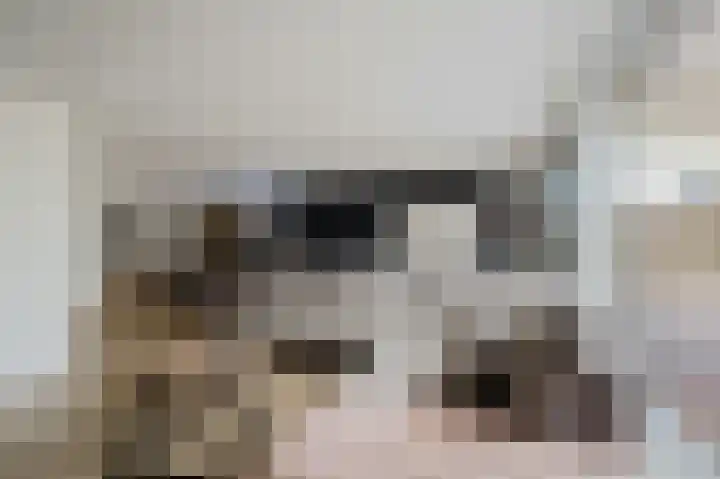 Sientje Mesdag-van Houtenstraat 65 Spijkenisse thumbnail 15