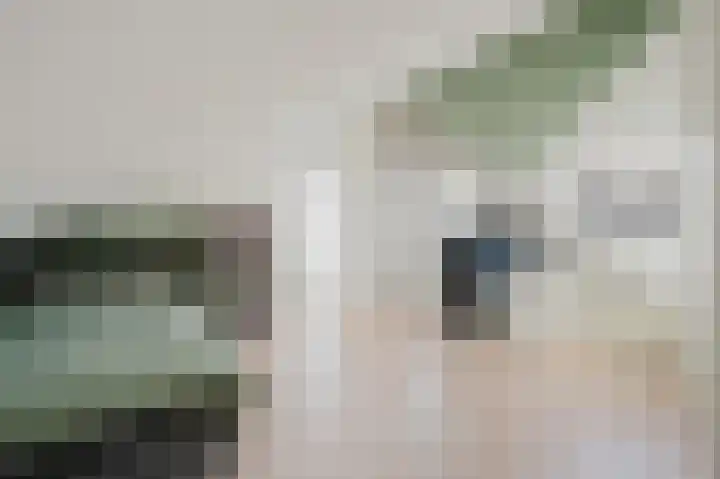 Sientje Mesdag-van Houtenstraat 65 Spijkenisse thumbnail 32