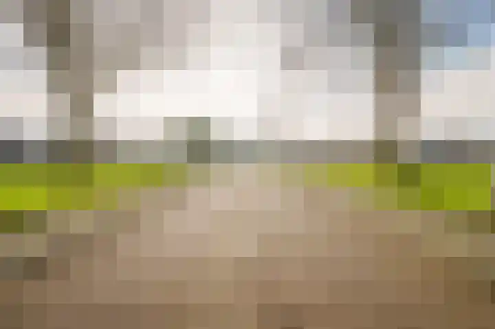 Sientje Mesdag-van Houtenstraat 65 Spijkenisse thumbnail 33