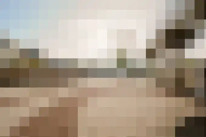 Sientje Mesdag-van Houtenstraat 65 Spijkenisse thumbnail 5