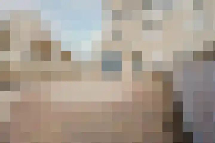 Sientje Mesdag-van Houtenstraat 65 Spijkenisse thumbnail 7