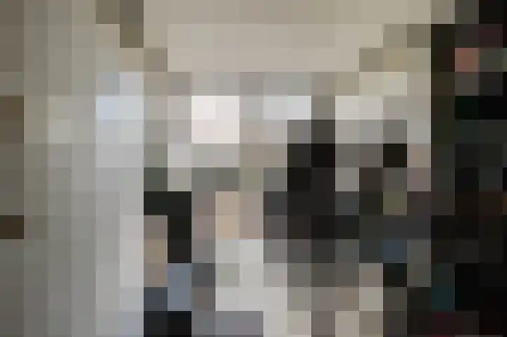 Sientje Mesdag-van Houtenstraat 65 Spijkenisse thumbnail 9