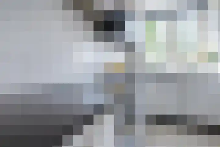 Sientje Mesdag-van Houtenstraat 69 Spijkenisse thumbnail 17