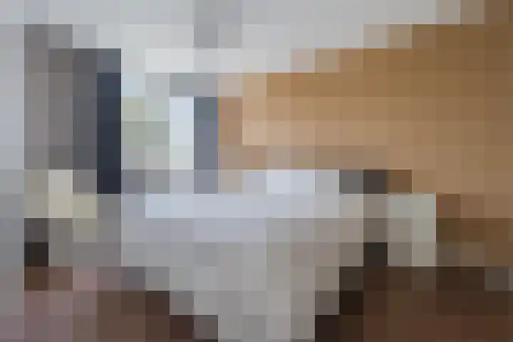 Sientje Mesdag-van Houtenstraat 69 Spijkenisse thumbnail 26