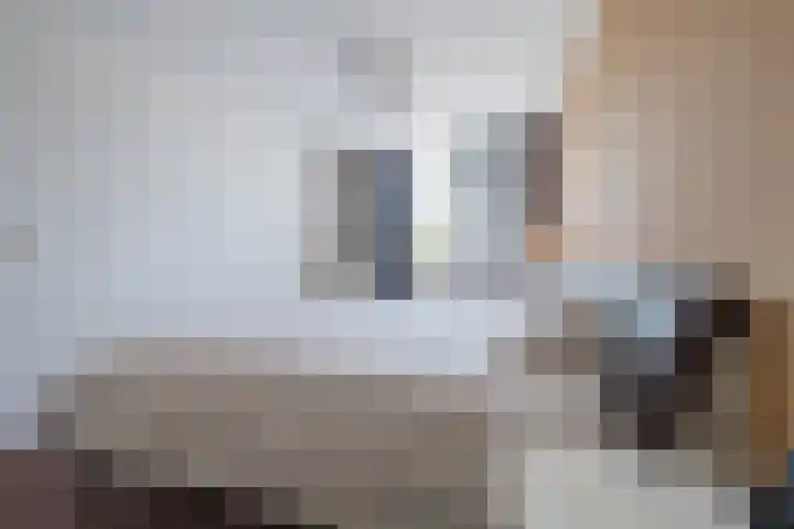 Sientje Mesdag-van Houtenstraat 69 Spijkenisse thumbnail 27