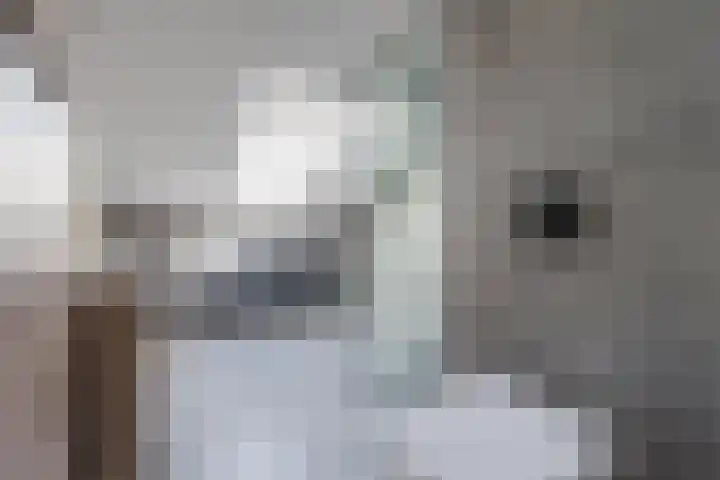 Sientje Mesdag-van Houtenstraat 69 Spijkenisse thumbnail 32
