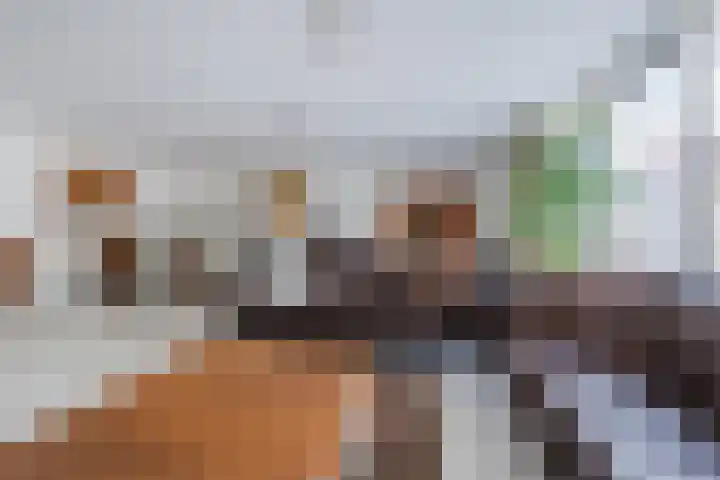 Sientje Mesdag-van Houtenstraat 69 Spijkenisse thumbnail 4