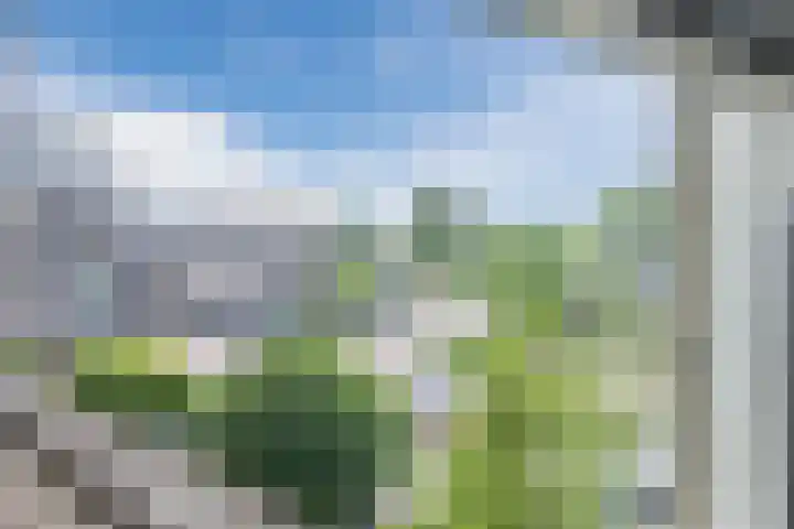 Sientje Mesdag-van Houtenstraat 69 Spijkenisse thumbnail 42