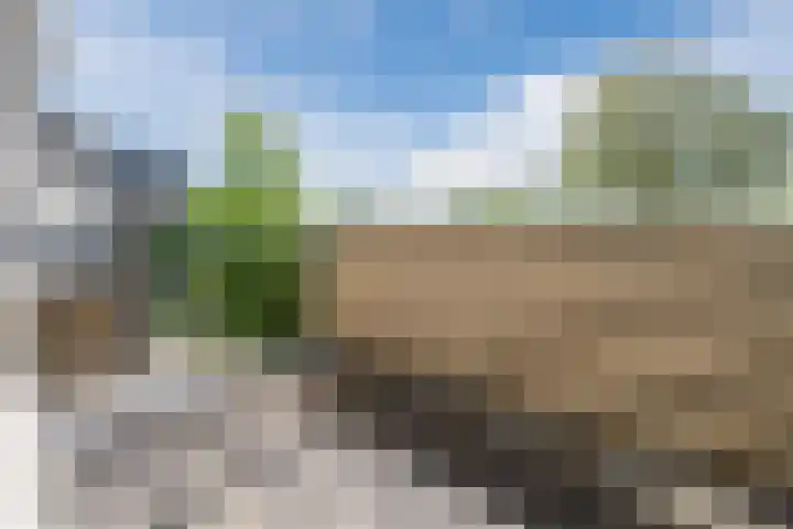 Sientje Mesdag-van Houtenstraat 69 Spijkenisse thumbnail 44