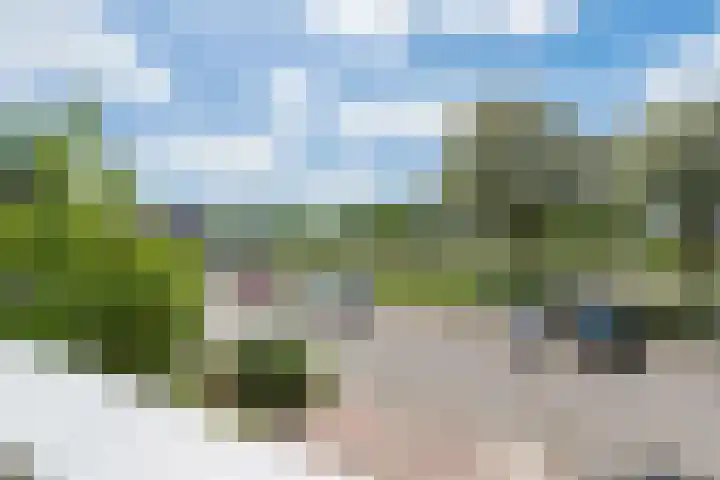Sientje Mesdag-van Houtenstraat 69 Spijkenisse thumbnail 46