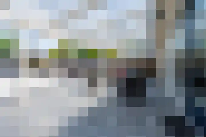 Sientje Mesdag-van Houtenstraat 69 Spijkenisse thumbnail 47