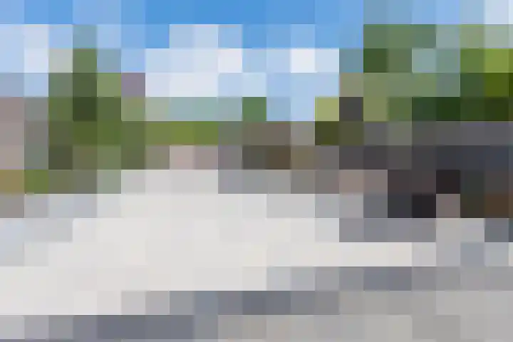 Sientje Mesdag-van Houtenstraat 69 Spijkenisse thumbnail 48