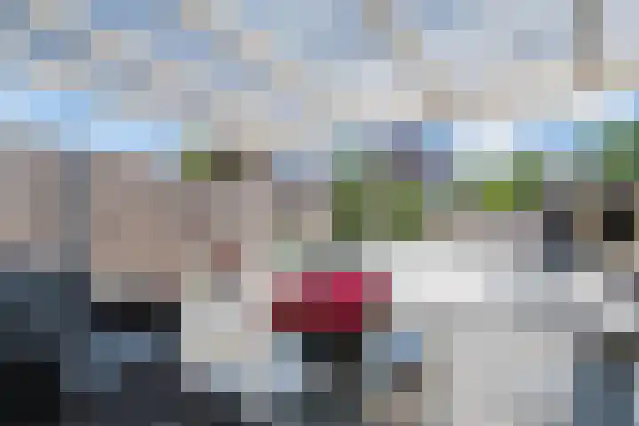 Sientje Mesdag-van Houtenstraat 69 Spijkenisse thumbnail 49