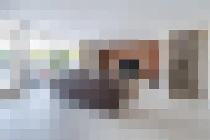 Sientje Mesdag-van Houtenstraat 69 Spijkenisse thumbnail 5