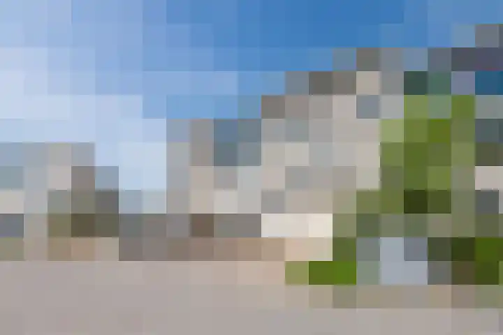 Sientje Mesdag-van Houtenstraat 69 Spijkenisse thumbnail 56