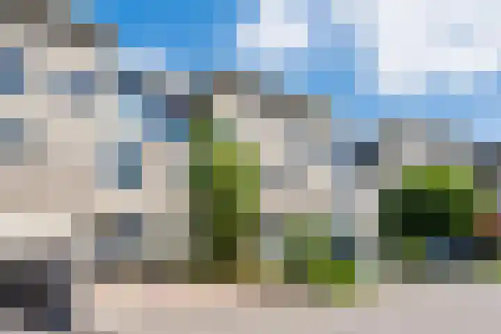 Sientje Mesdag-van Houtenstraat 69 Spijkenisse thumbnail 58