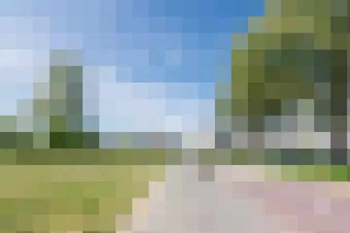 Sientje Mesdag-van Houtenstraat 69 Spijkenisse thumbnail 60