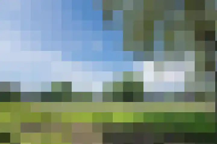 Sientje Mesdag-van Houtenstraat 69 Spijkenisse thumbnail 61