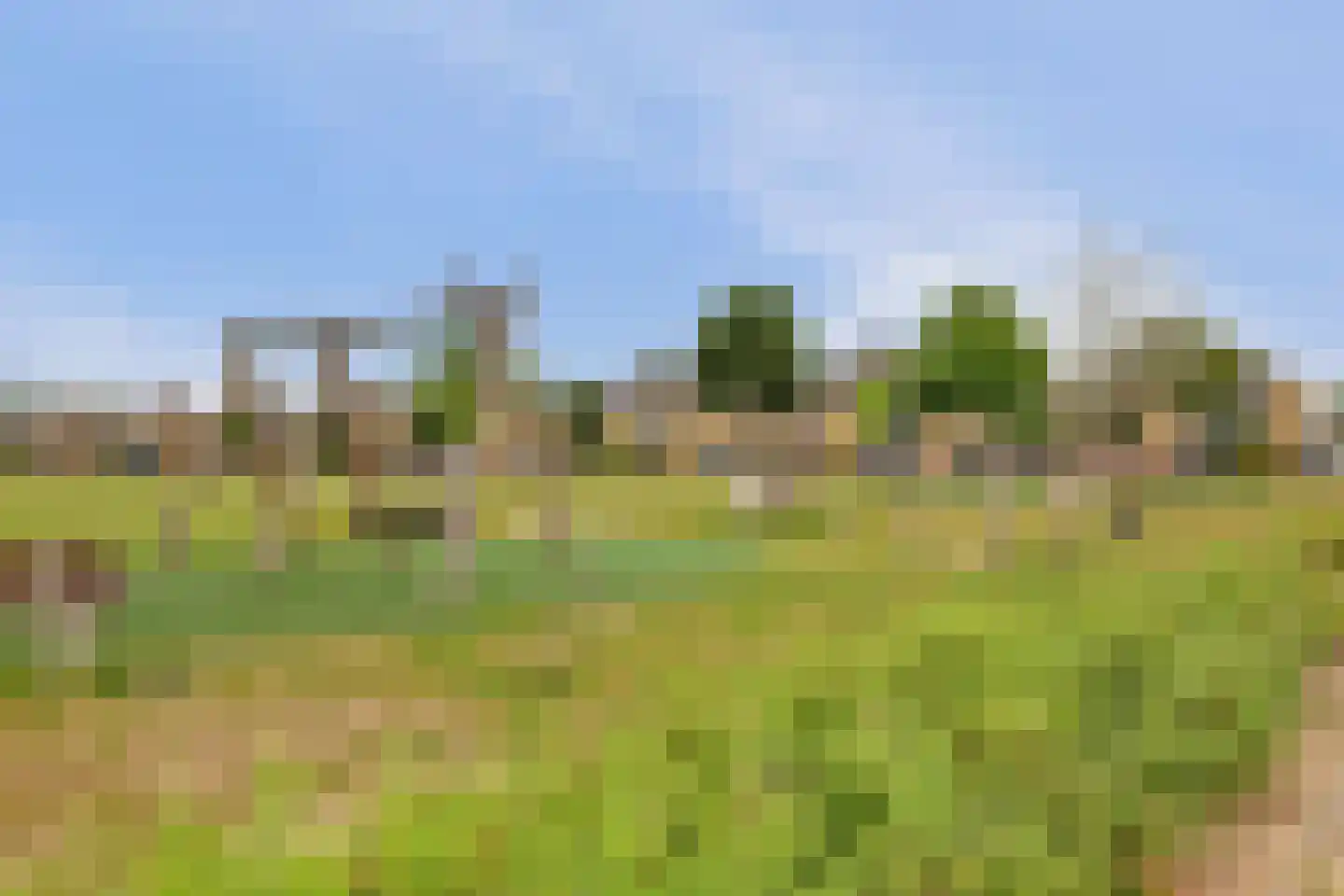 Sientje Mesdag-van Houtenstraat 81 Spijkenisse thumbnail 28